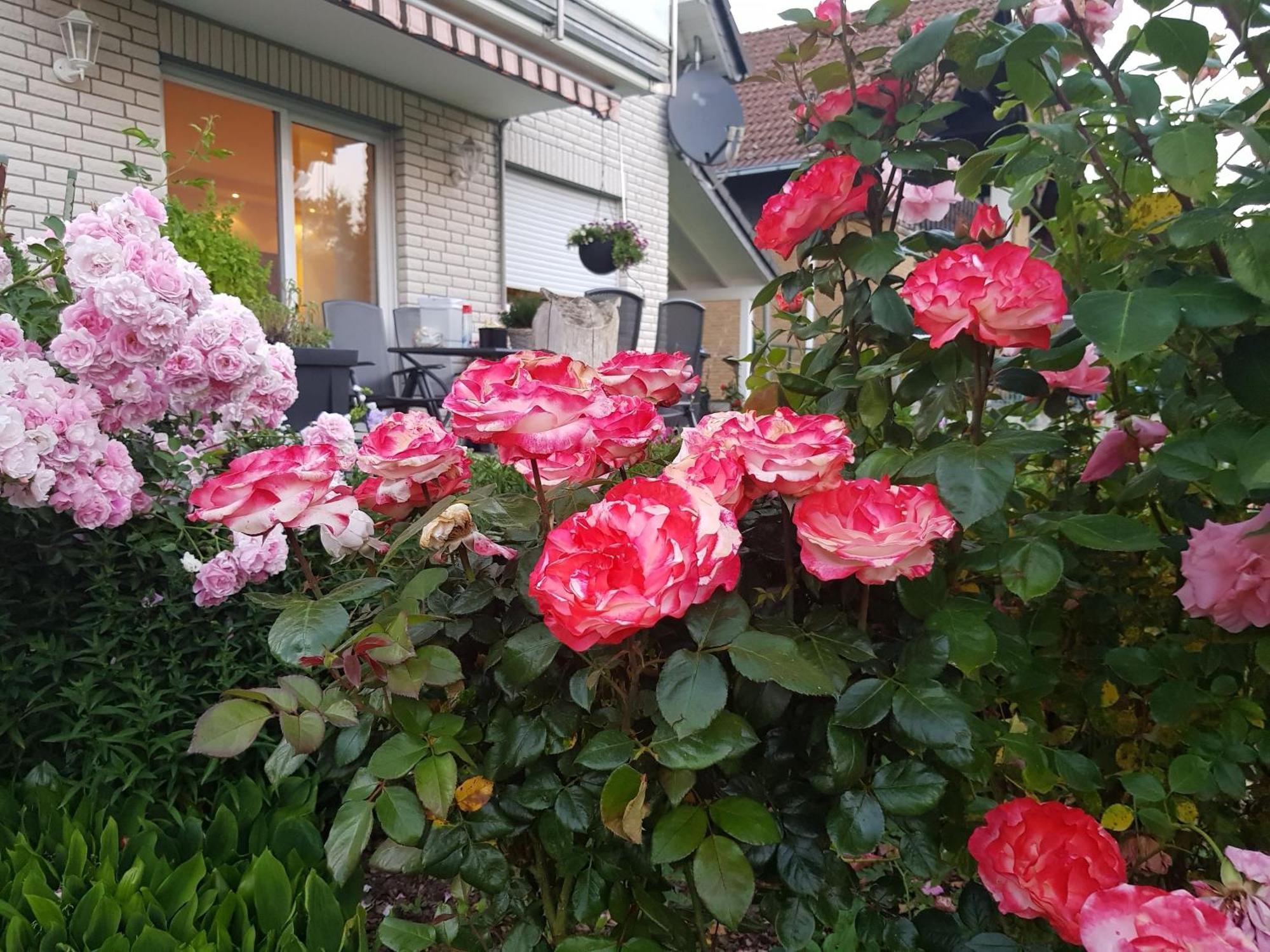 Ferienwohnung Monschauer Land ภายนอก รูปภาพ